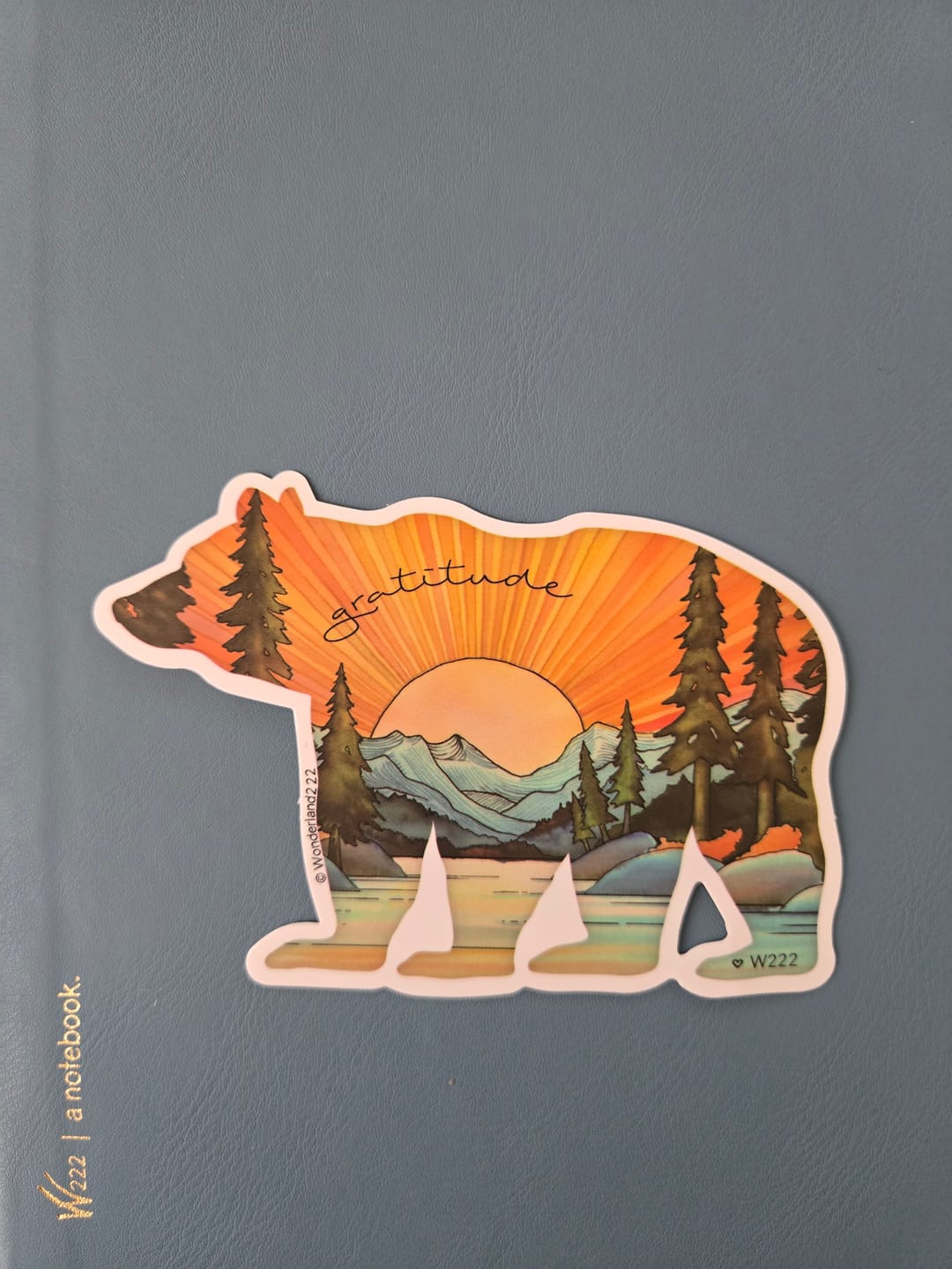Customer photo review of Wonderland 222 2025 Vinyl Stickers