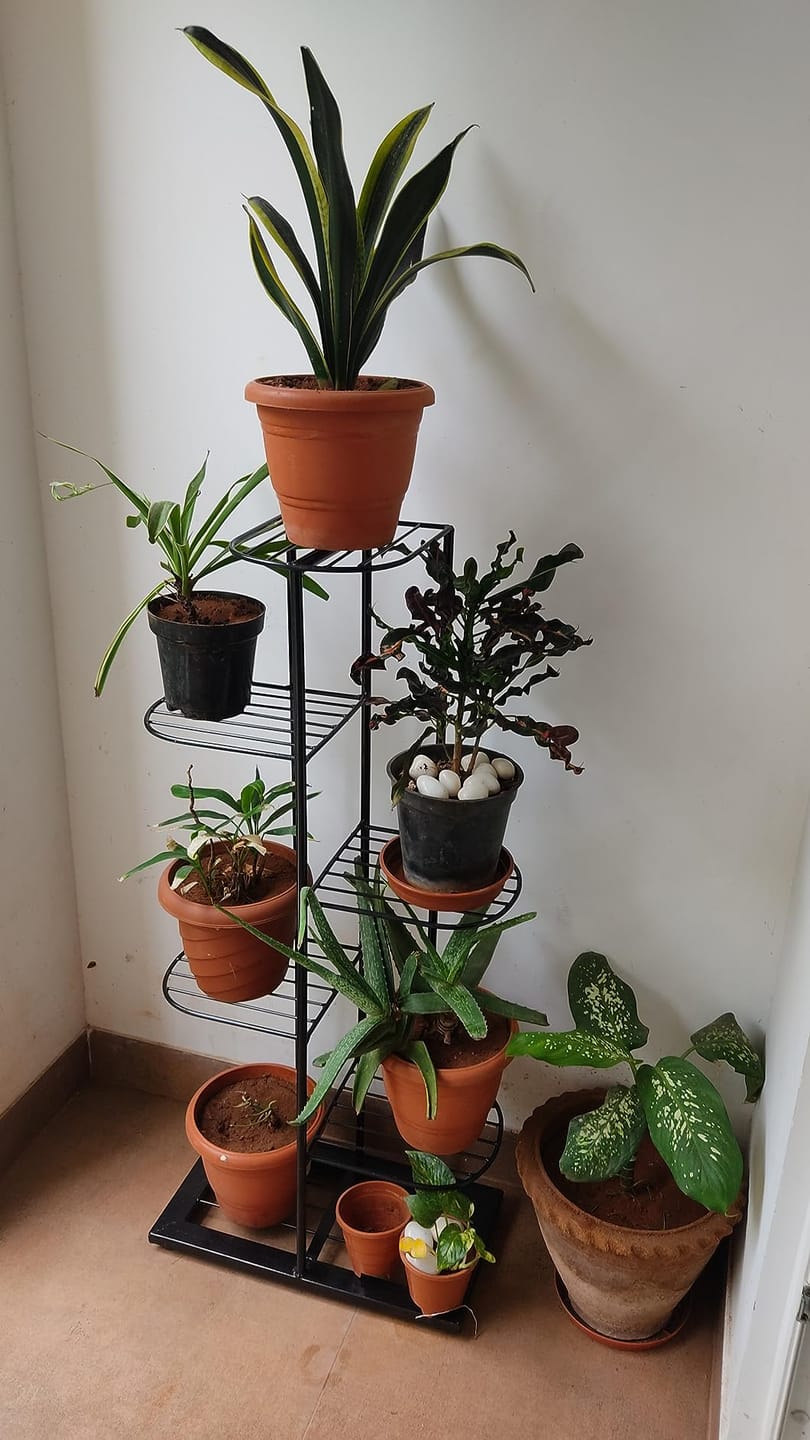 Customer photo review of Plant Stand Metal 6 Tier 7 Potted Multiple Flower Pot Holder Shelf Indoor Outdoor Planter Display Shelving Unit For Patio Garden Corner