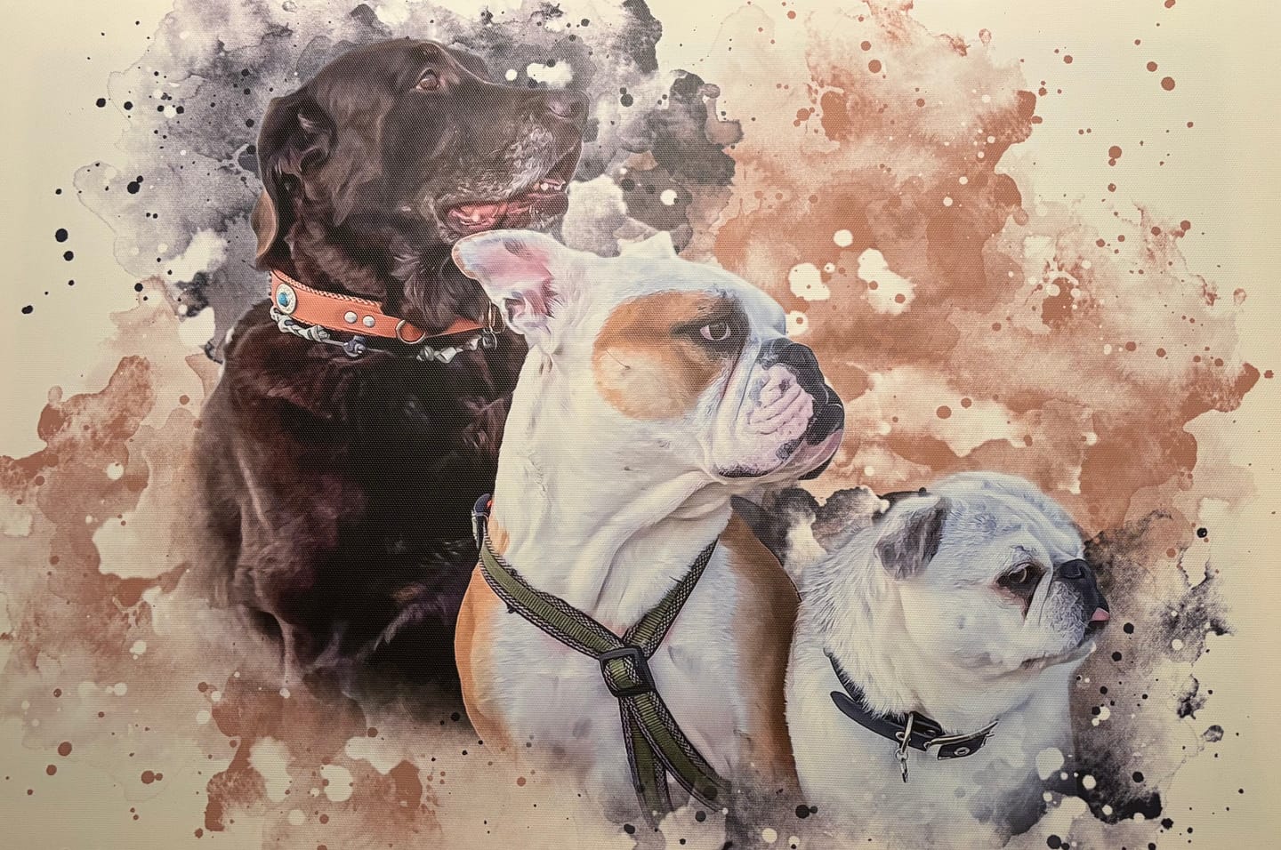 Customer photo review of Tierisches Wasserfarben Hunde Portrait