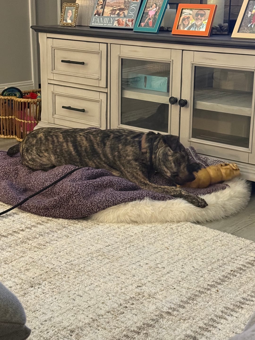 Customer photo review of 10-12 Inch Peanut Butter Cheek Roll