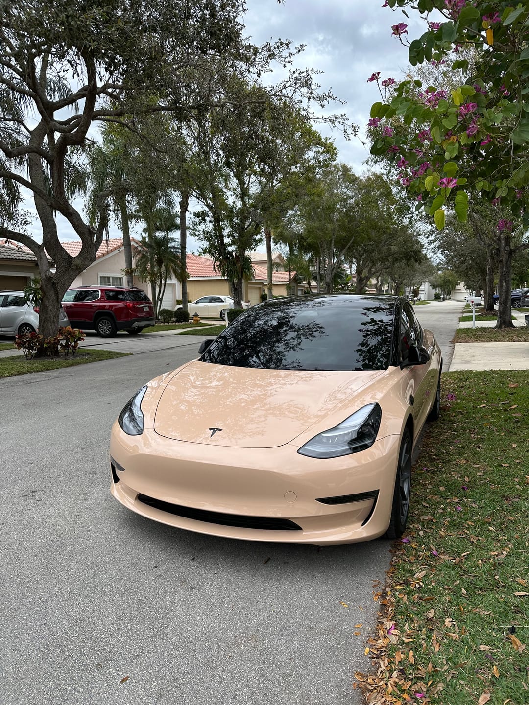 Customer photo review of High Glossy Concord Buff Vinyl Wrap