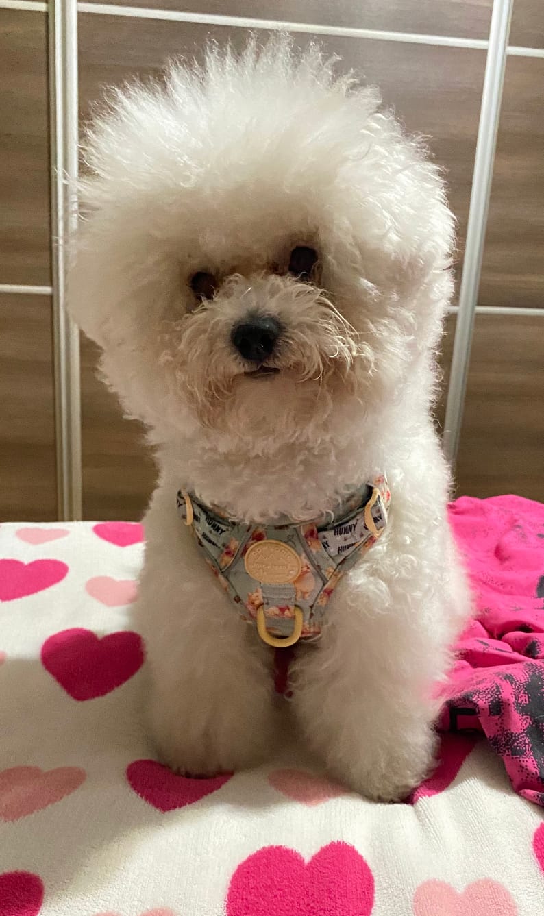 Customer photo review of Disney© Tough Trails™ Harness - Winnie The Pooh