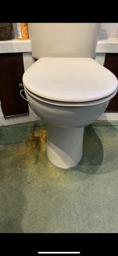 Customer photo review of Fabric Paint -- Dark Green