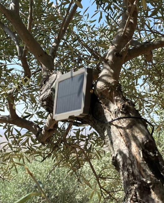 Customer photo review of Kit panneau solaire pour les caméras de chasse