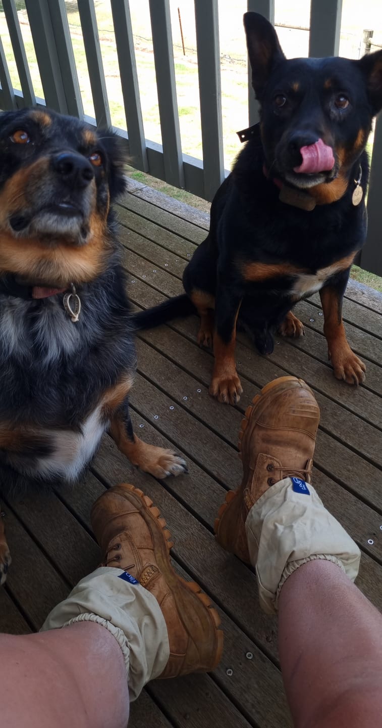Customer photo review of Sock Savers Tan
