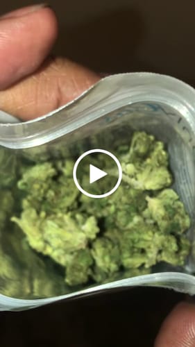 Customer video review of THCa Greenhouse Smalls