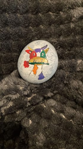 Customer photo review of Starterspakket Happy Stones + App om ze te volgen | Alles-in-1 | Stenen schilderen