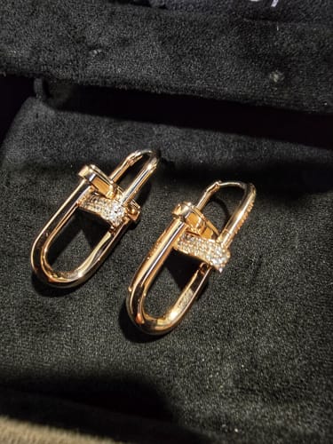 Customer photo review of Dual D.D Silver Earring JDREP3S40ZC