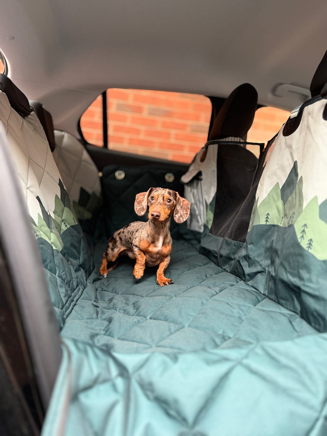 Customer photo review of Car Seat Cover - Walkies Ready® Forest Green
