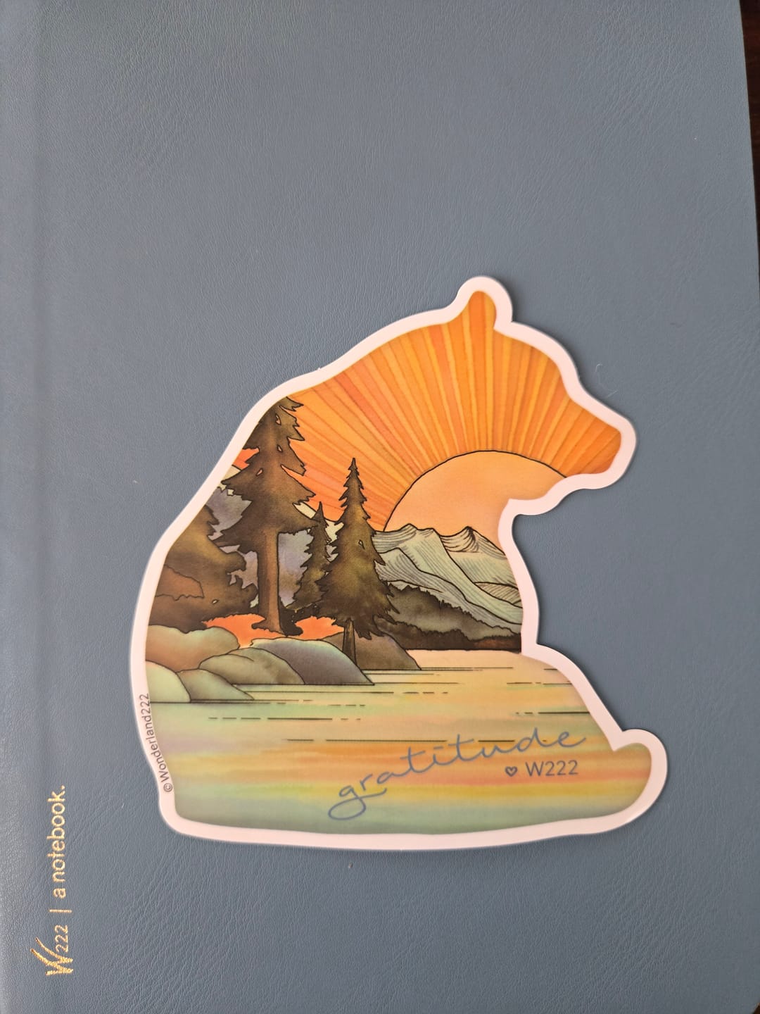 Customer photo review of Wonderland 222 2025 Vinyl Stickers