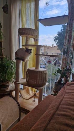 Customer photo review of Arbre à Chat - Terrasse Tigrée