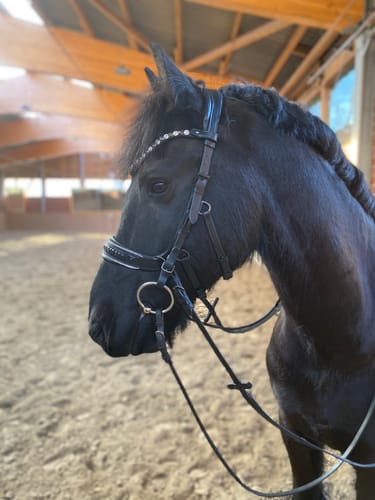 Customer photo review of Midnight Supreme