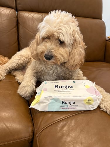 Customer photo review of 12 Pack of Probiotic Baby Wipes
