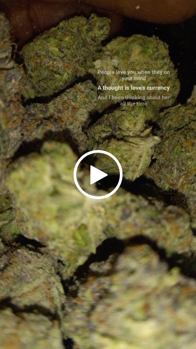 Customer video review of Jealousy - THCa Flower