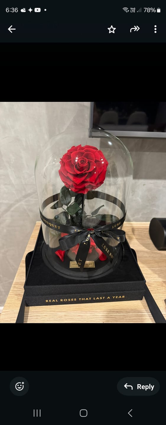 Customer photo review of The Everlasting Rose - Red