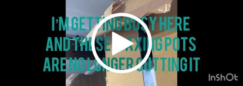 Customer video review of 10lb Professional Wax Heater