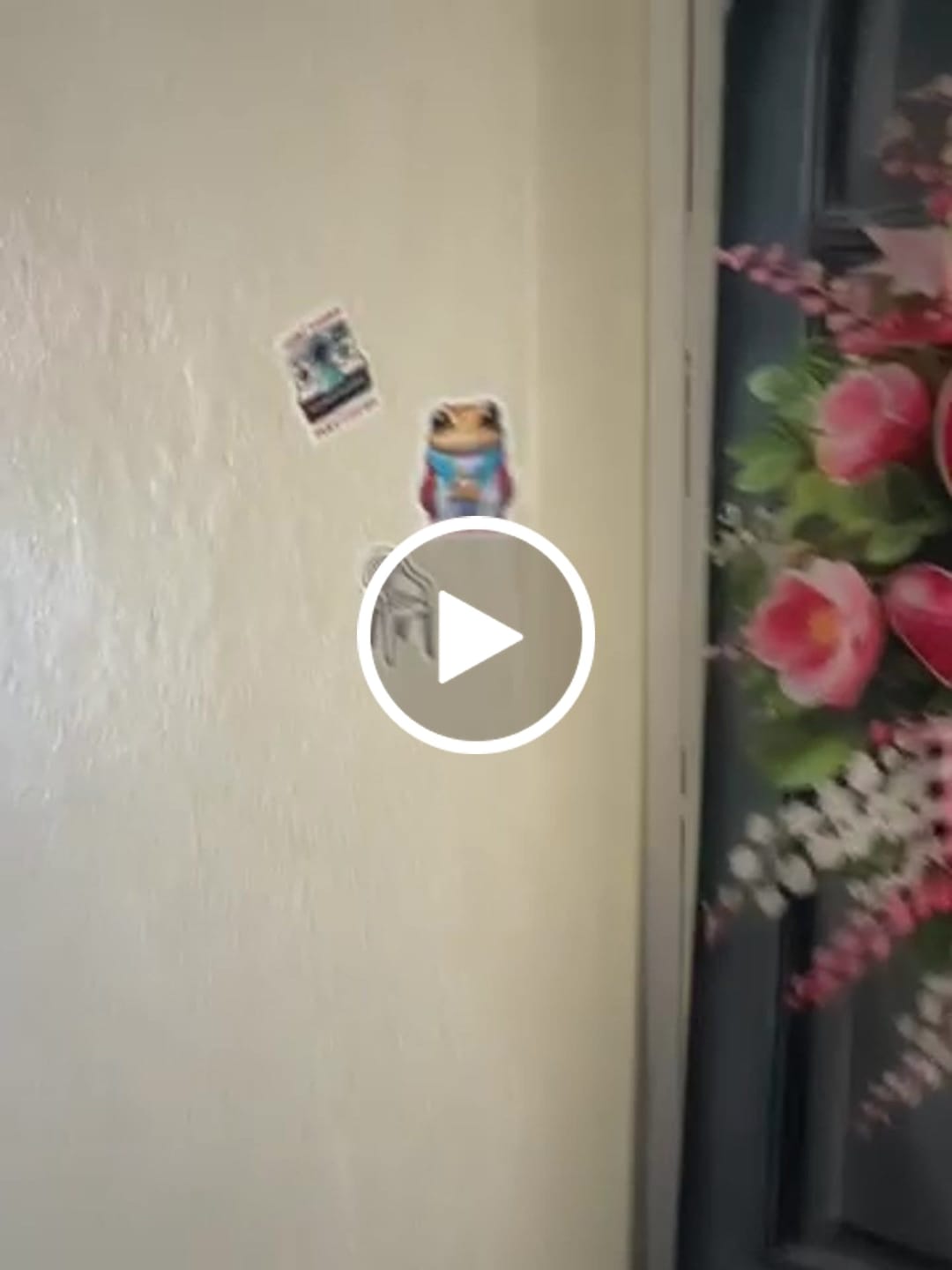 Customer video review of Debí tirar más fotos (Sticker Laminado)