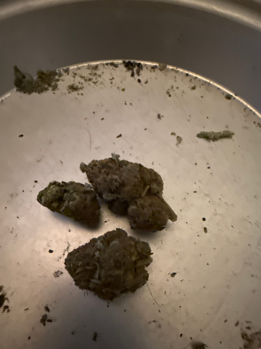 Customer photo review of Space Junkie