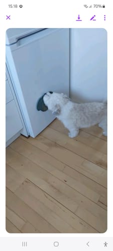 Customer photo review of Staey - Slikkemåtte, Moss Green