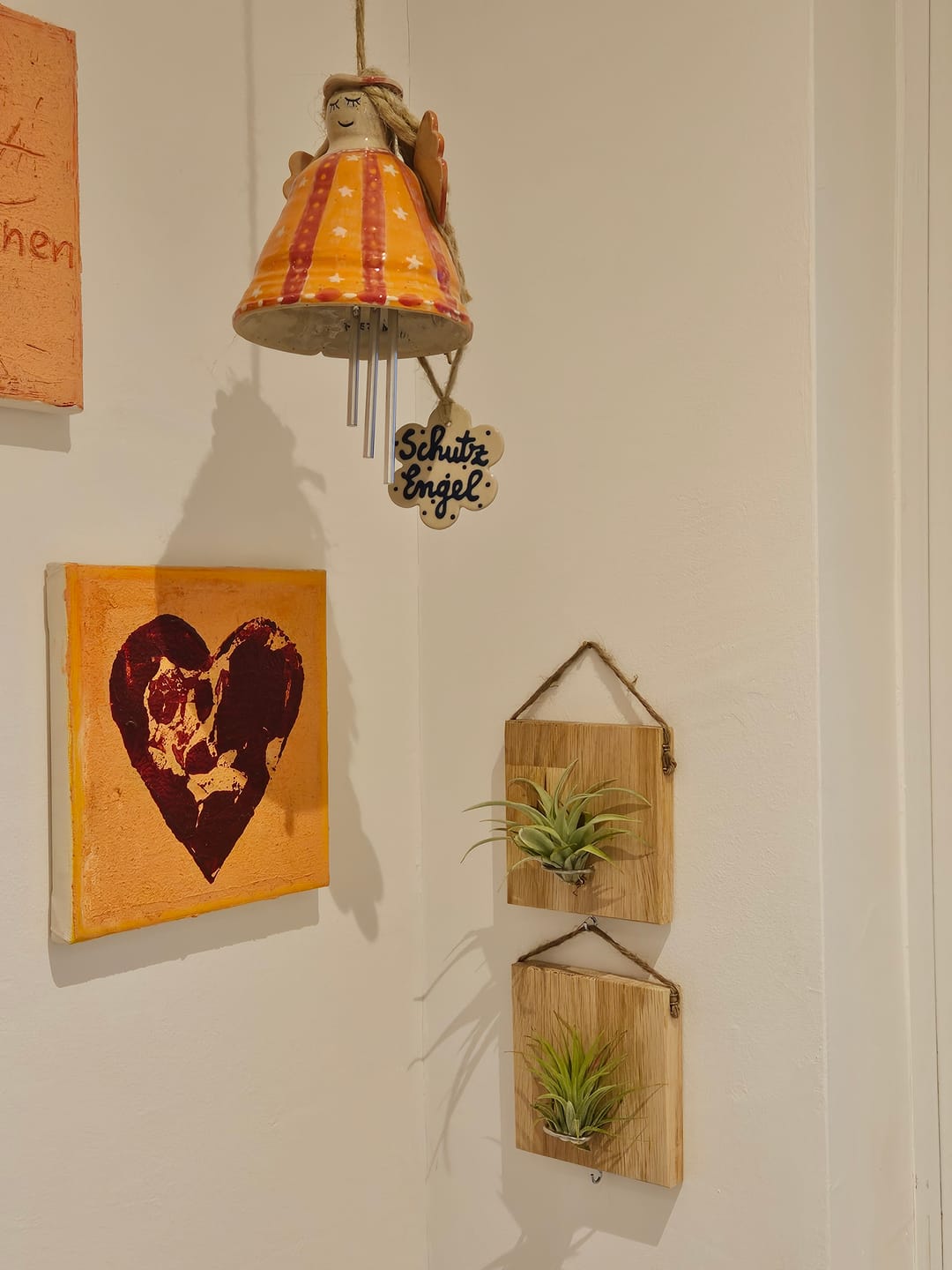 Customer photo review of Tillandsien Kachel - hängend