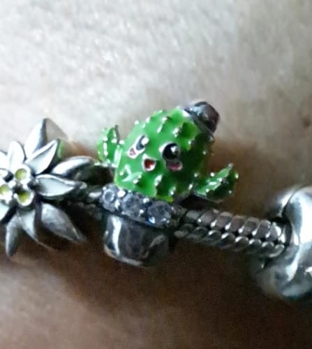 Customer photo review of 925 Sterling Silver Little Cactus Charm