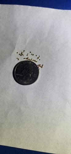 Customer photo review of 5 Lb. NUGGET RESERVE™ ‘Specimen Elite’ - Gold Paydirt