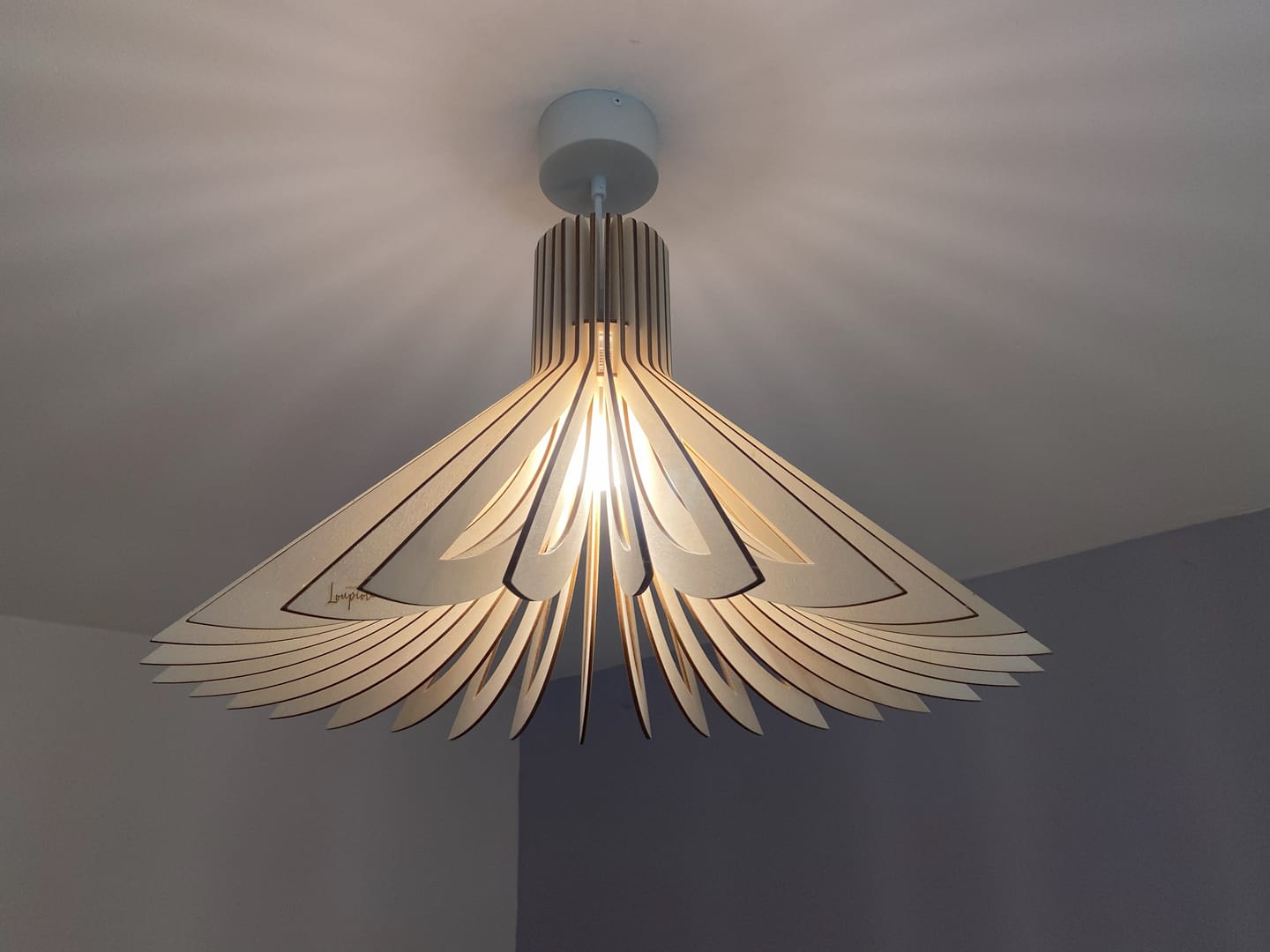 Customer photo review of Ava | Suspension