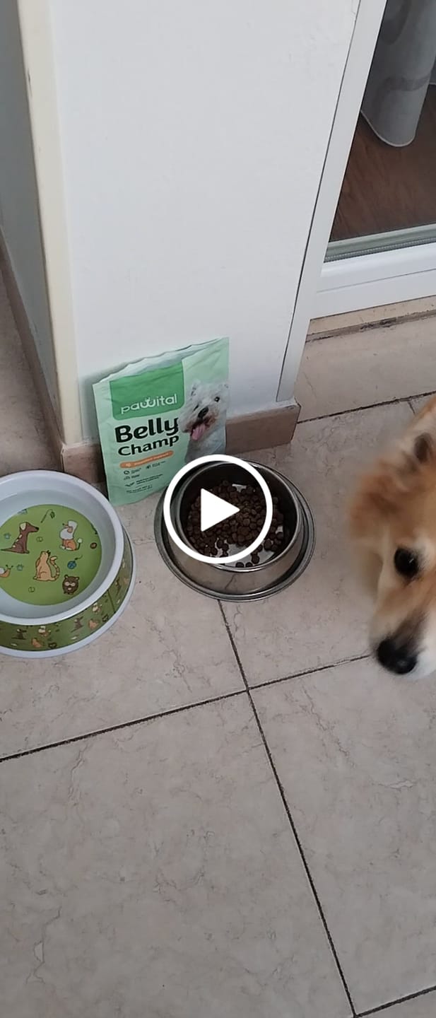 Customer video review of Belly Champ Welcome