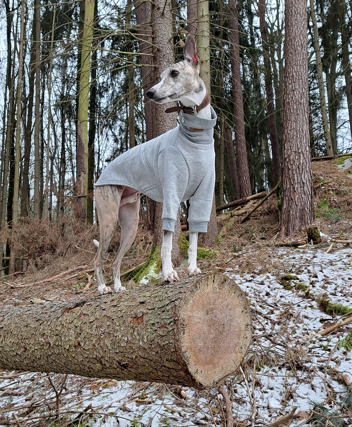 Customer photo review of Aspen "Frosty Grey"