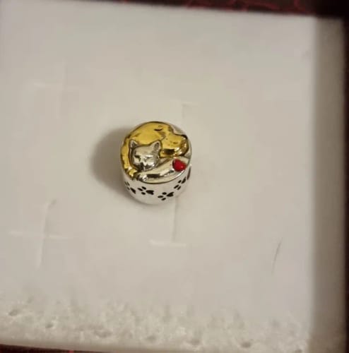 Customer photo review of 925 Sterling Silver Dog and Cat Charm