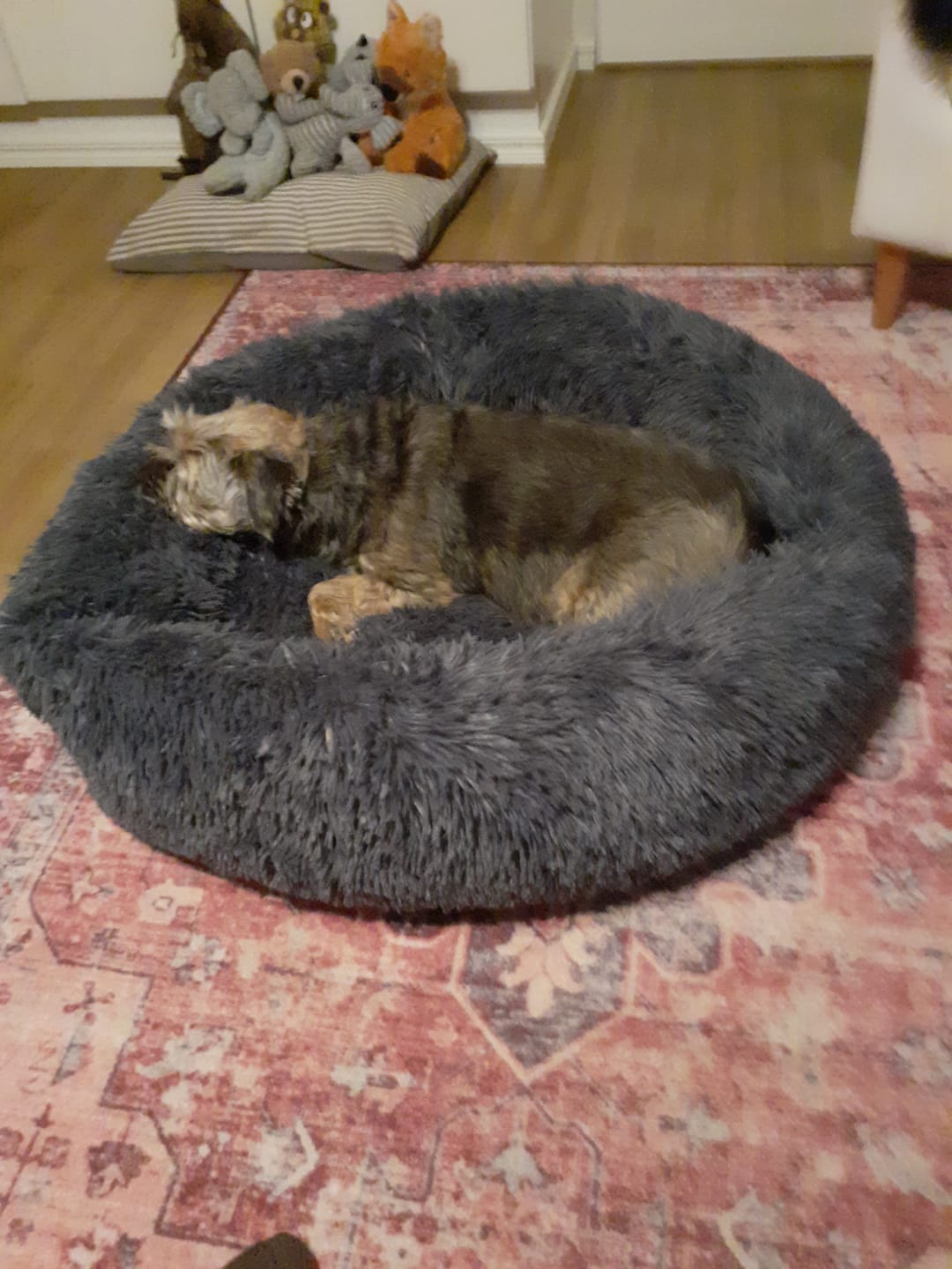Customer photo review of CalmBedin varapäällinen
