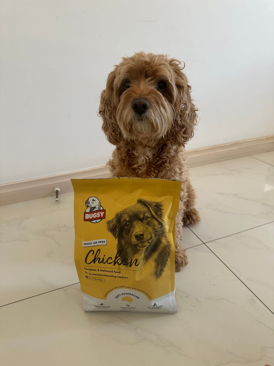Customer photo review of Bugsy's Air-Dried Chicken