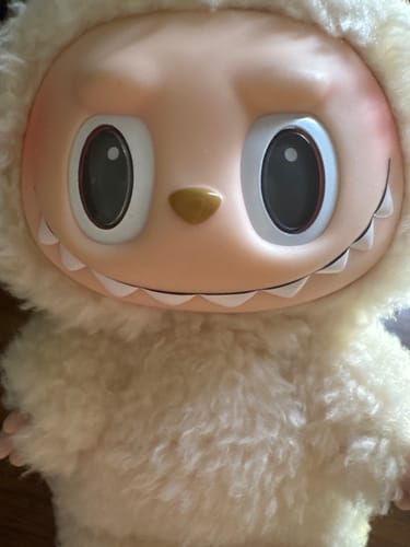 Customer photo review of Pop Mart Labubu The Monsters Tasty Macarons Vinyl Plush Pendant Single Blind Box