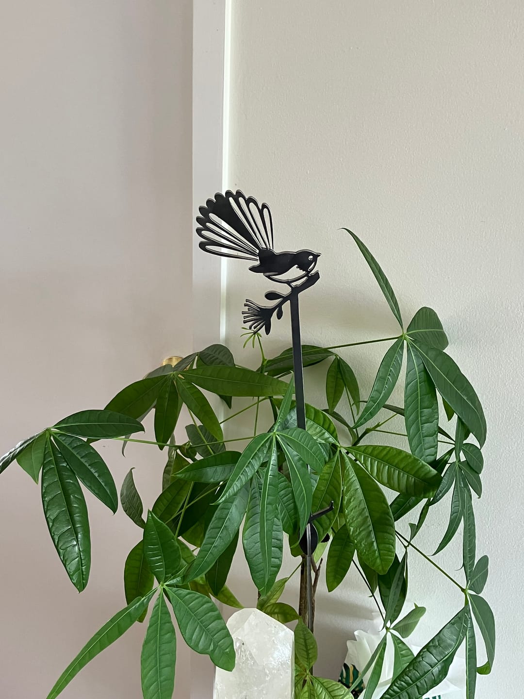 Customer photo review of Pīwakawaka Plant Stake - 70cm