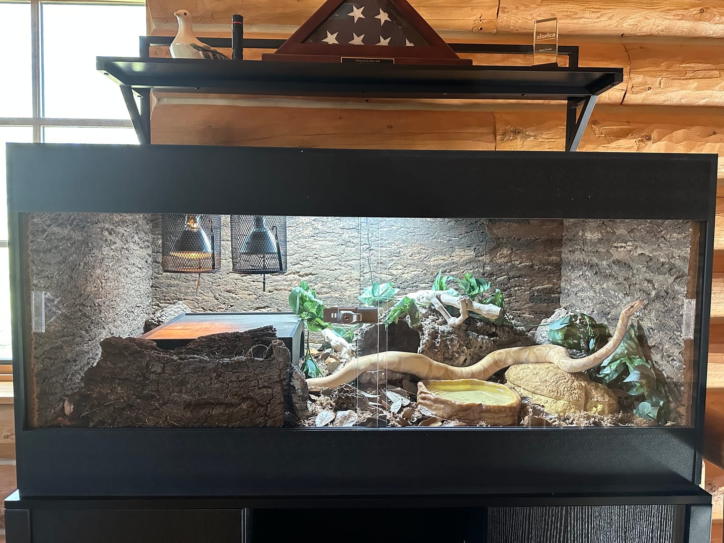 Customer photo review of 48"x24"x24" / 4'x2'x2' Premium PVC Reptile Enclosure