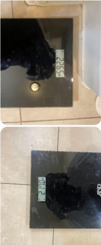 Customer photo review of Mix & Match - 5 (+1 Free) Meal Plan