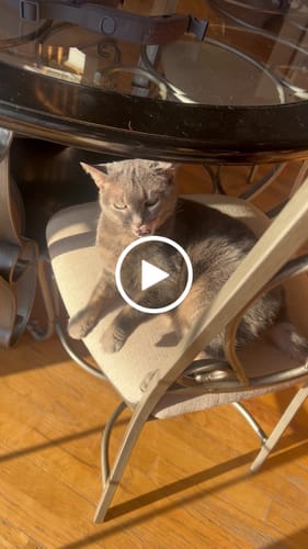 Customer video review of Flaked Variety Pack, 2.8-oz