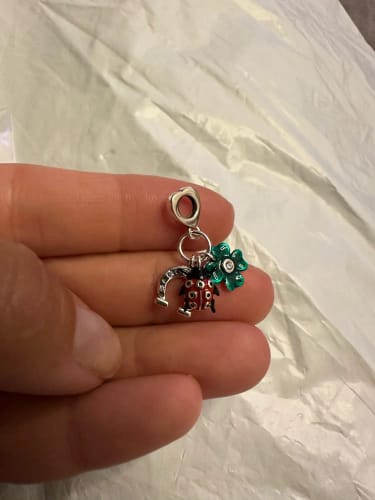 Customer photo review of 925 Sterling Silver Good Luck Charm