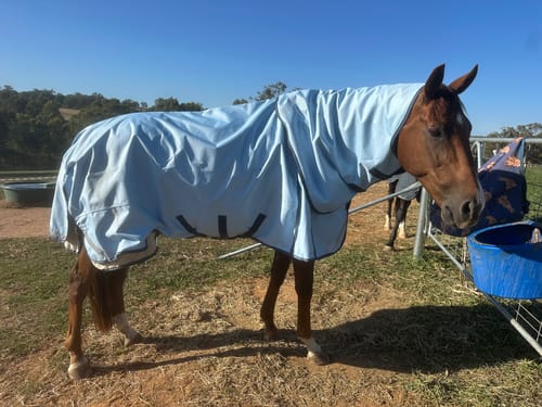 Customer photo review of LE Boxter Turnout 0g