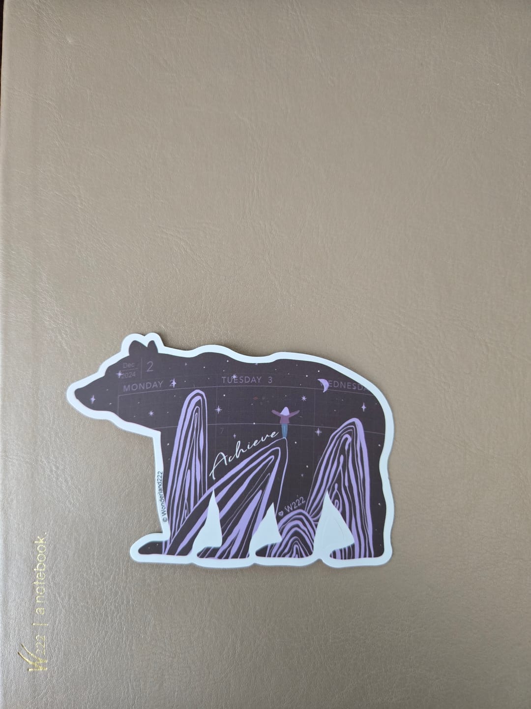 Customer photo review of Wonderland 222 2025 Vinyl Stickers