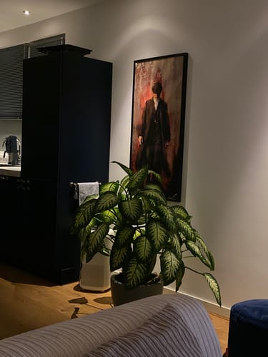 Customer photo review of PEAKY BLINDERS CANVAS