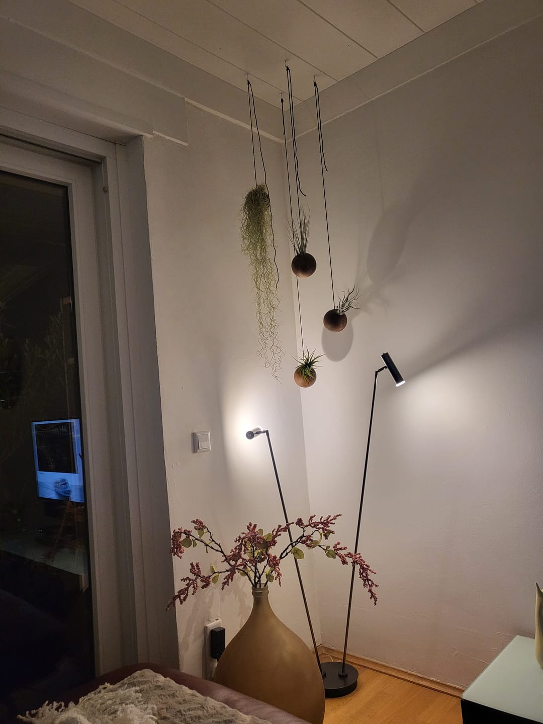 Customer photo review of Tilly Xylo Globus