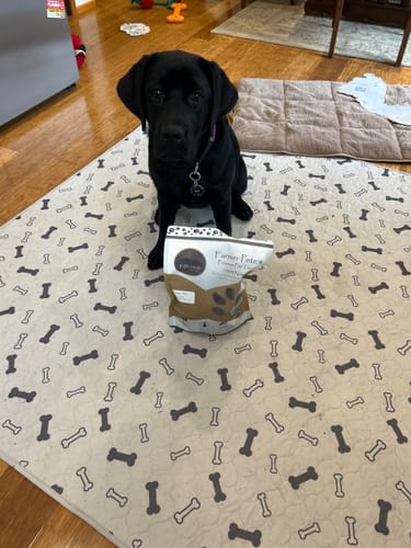 Customer photo review of Beef Puffs