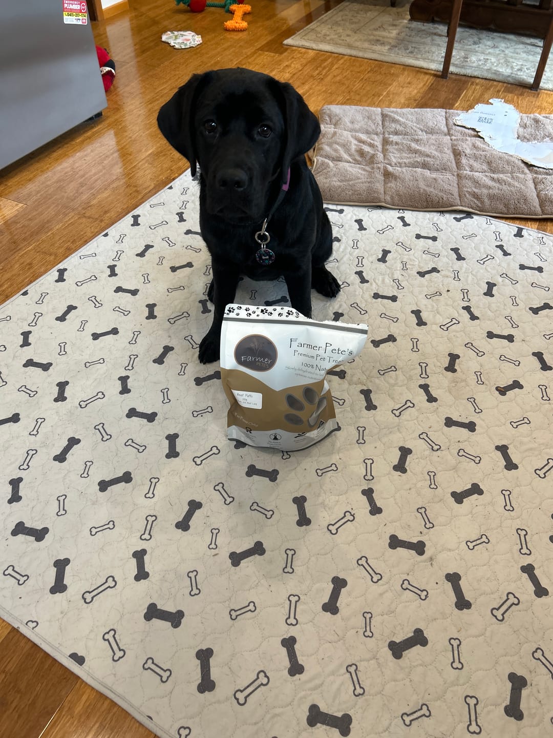 Customer photo review of Beef Puffs