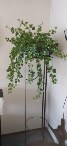 Customer photo review of Hedera Kunst Hangplant 90cm