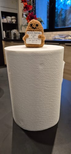 Customer photo review of PATATE POSITIVE