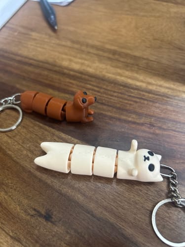 Customer photo review of Set of 2 | 3D Printed Flexible Keychain | Fidget Cat & Dog