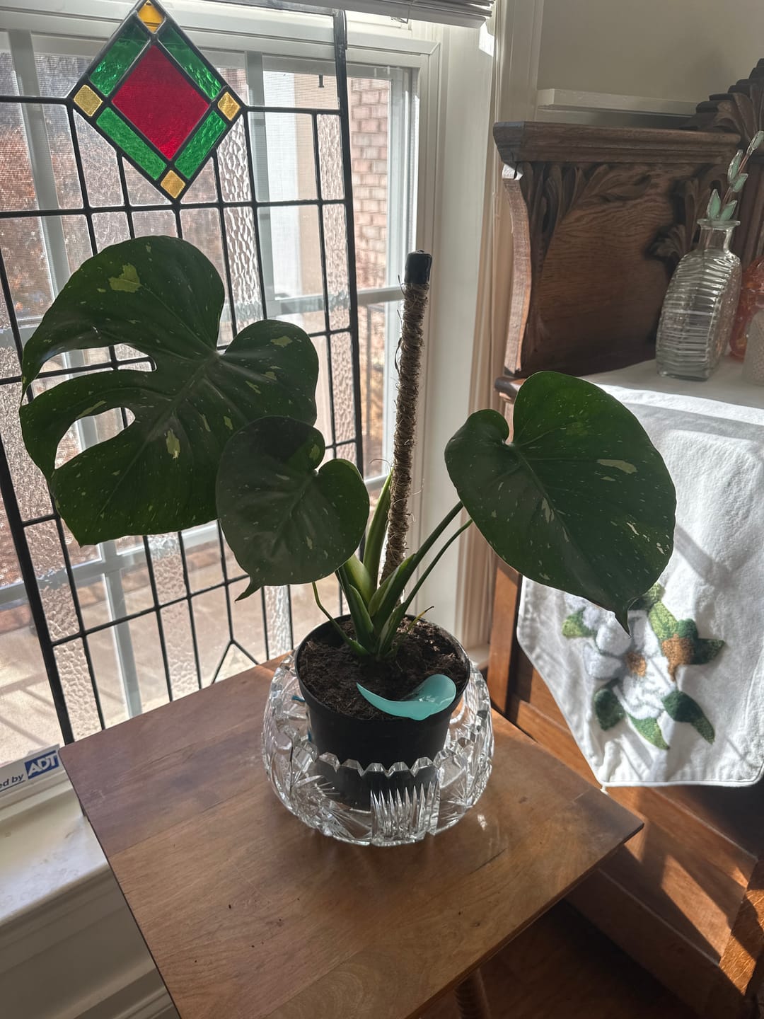 Customer photo review of The Original Bendable Coir Pole™ - Best Seller (Tape Included)