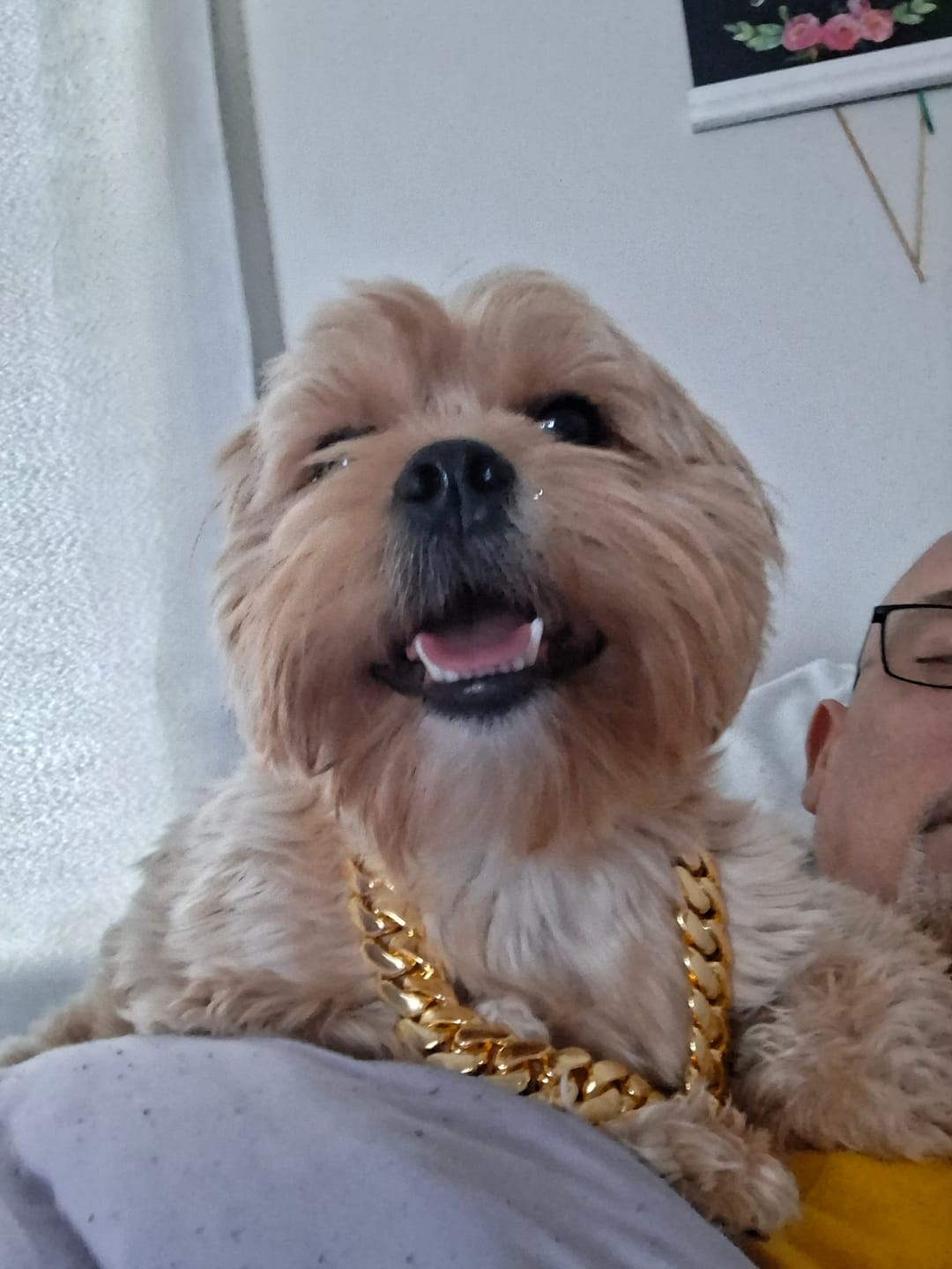 Customer photo review of 20mm Solid 18k Gold Plated Miami Cuban Link Chain