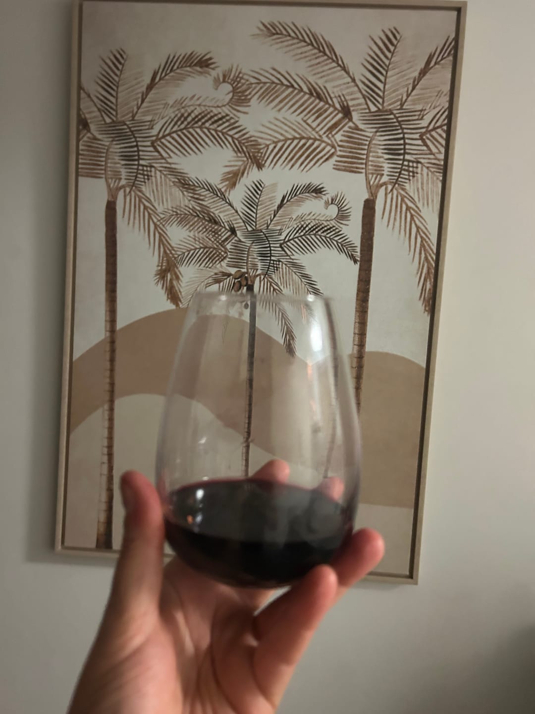 Customer photo review of Red n Rosé - 6 Pack - NEW